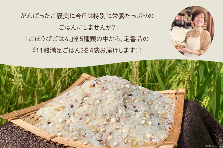 米 無洗米 11穀満足ごはん ごほうびごはん 250g×4 計 1kg [DANBO*DELI 宮崎県 日向市 452060022] 小分け 国産 ブレンド米 雑穀米 こめ コメ 雑穀