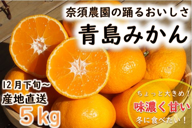 【期間限定発送】踊るおいしさ！味濃く甘い！ 青島みかん 2L 5kg [奈須農園 宮崎県 日向市 452061479] 果物 フルーツ 柑橘 みかん ミカン