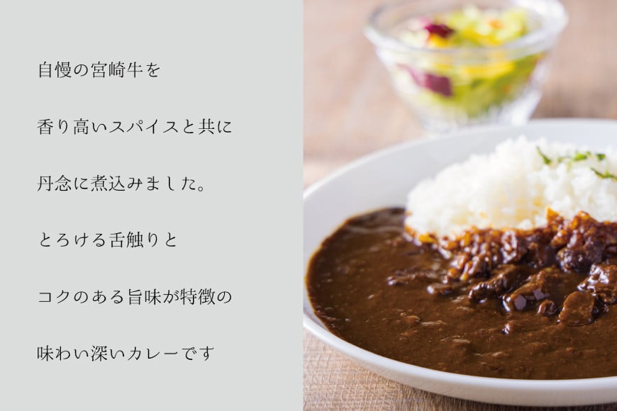 カレー 12回 定期便 レトルト 宮崎牛カレー 160g 12袋 総計144袋 [九州産商 宮崎県 日向市 452061184] 小分け ビーフカレー 宮崎 牛 常備食 保存食 中辛 宮崎牛 備蓄