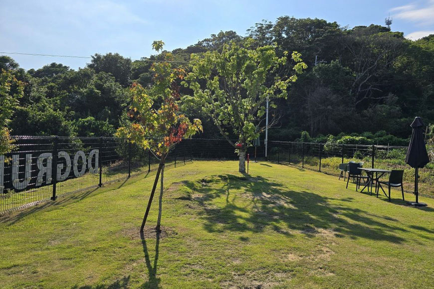 キャンプ場 補助券 CAMP FIELD & DOG RUN SUZU 5,000円分 [鈴建 宮崎県 日向市 452061071-c] 施設利用券 利用補助券 宿泊補助券 宿泊 キャンプ 貸切 ドッグラン 日帰り アウトドア