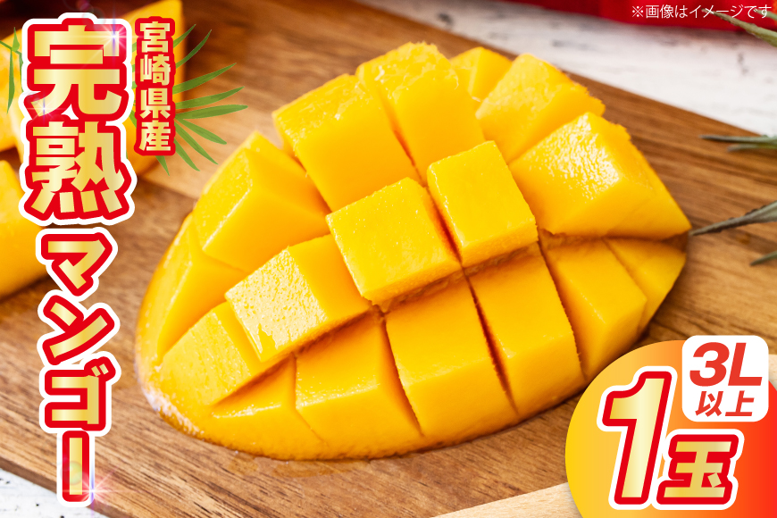 【期間限定発送】 マンゴー 宮崎県産 完熟マンゴー 3L 以上 1玉 [日向サンパーク 宮崎県 日向市 452061246] 宮崎 果物 フルーツ 甘い