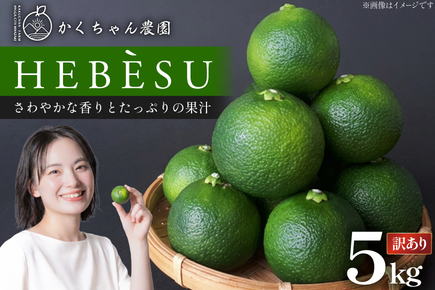 【期間限定発送】 訳あり 採れたてへべす 5kg [かくちゃん農園 宮崎県 日向市 452060673] 果物 柑橘 へべす 平兵衛酢 ヘベス 期間限定 数量限定 規格外 家庭用 果汁 香酸柑橘 調味料 宮崎 ビタミンC アミノ酸 国産 種が少ない