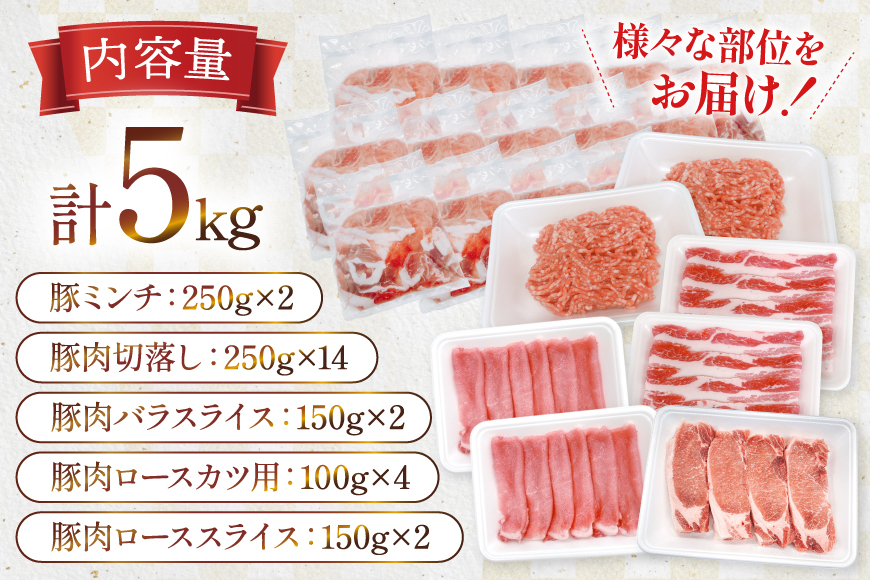 豚肉 宮崎県産豚肉 5kg 詰め合わせ セット [TRINITY 宮崎県 日向市 452061325] 小分け 豚 肉 宮崎 ロース スライス 豚バラ とんかつ 切り落とし ミンチ 豚ミンチ ひき肉 真空パック