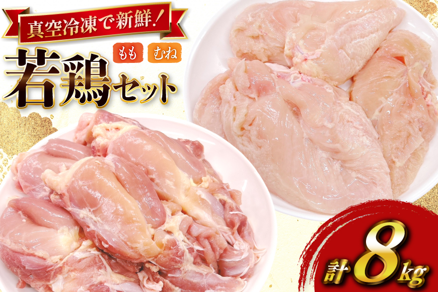 鶏肉 セット 宮崎県産 若鶏 もも身 むね身 各 1kg 4p 計8kg セット [TRINITY 宮崎県 日向市 452061338] 業務用 とり肉 もも もも肉 モモ モモ肉 鶏肉もも むね肉 むね ムネ肉 胸 宮崎 詰め合わせ 冷凍 肉