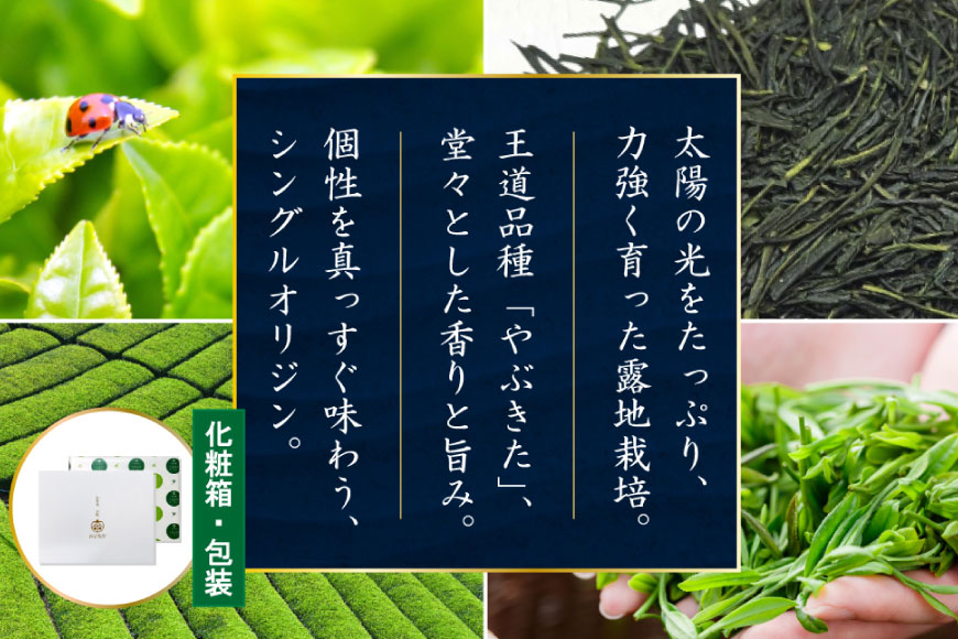 お茶 緑茶 煎茶 晟 70g×3本 [谷岩茶舗 宮崎県 日向市 452061612] セット 緑茶 やぶきた プラチナ賞 日本茶