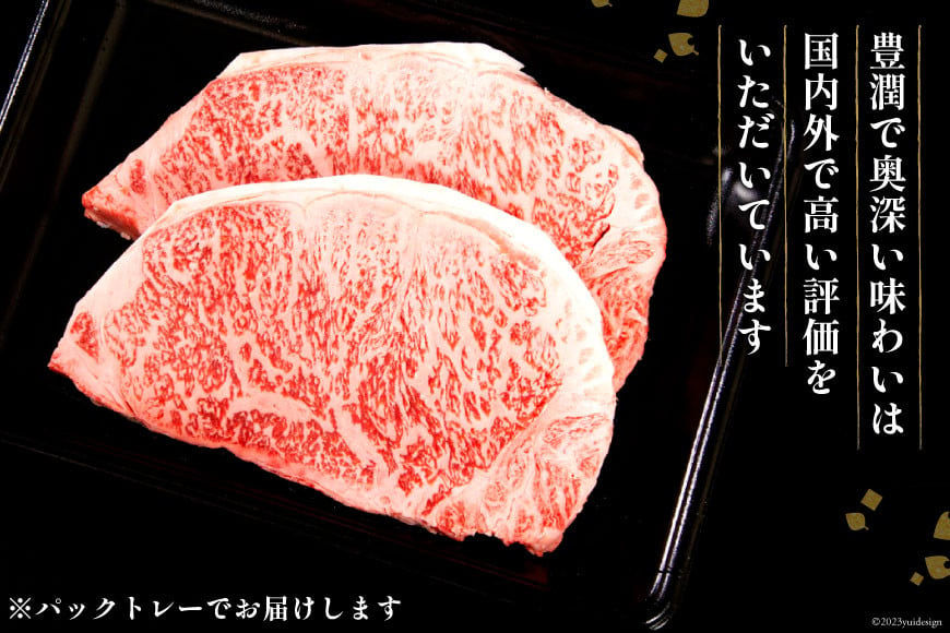 牛肉 宮崎牛 ロースステーキ 250g×2 計500g [ミヤチク 宮崎県 日向市 452060614] 肉 黒毛和牛 ステーキ ロース 冷凍