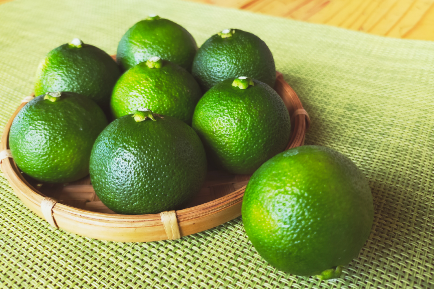 【期間限定発送】 訳あり 採れたてへべす 5kg [かくちゃん農園 宮崎県 日向市 452060673] 果物 柑橘 へべす 平兵衛酢 ヘベス 期間限定 数量限定 規格外 家庭用 果汁 香酸柑橘 調味料 宮崎 ビタミンC アミノ酸 国産 種が少ない