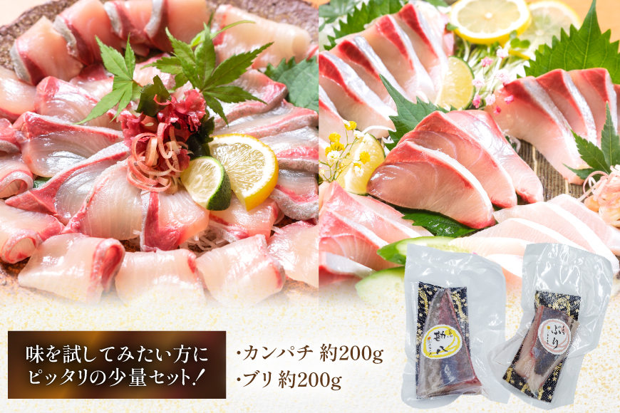 刺身 柵 カンパチ ブリ 少量贅沢 食べ比べ セット [請関水産 宮崎県 日向市 452061436] 冷蔵 詰め合わせ ぶり 個包装