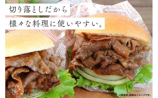 訳あり 牛肉 宮崎県産 和牛 切り落とし 500g×2p 計1kg [日本ハムマーケティング 宮崎県 日向市 452060542] 肉 牛 黒毛和牛 精肉 冷凍