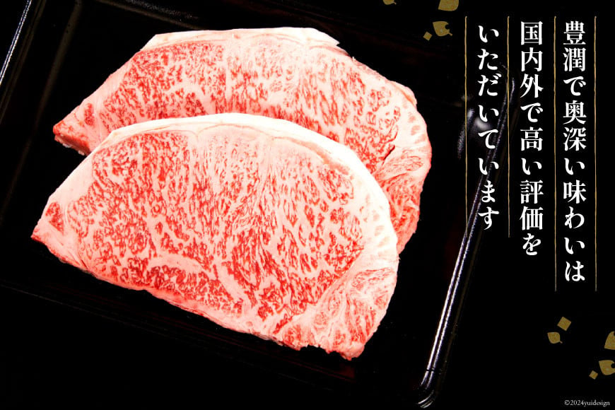 【最上等級使用！】 牛肉 宮崎牛 ロース ステーキ 250g × 5枚 計1.25kg [ミヤチク 宮崎県 日向市 452060773] 小分け 個包装 和牛 黒毛和牛 ブランド牛 冷凍 4等級 5等級