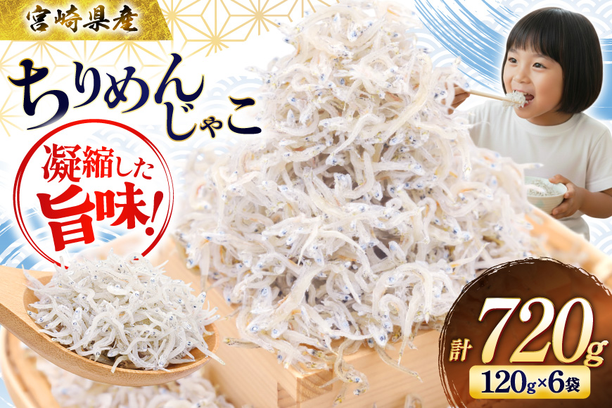 ちりめん 宮崎県産 無添加 ちりめんじゃこ 120g 6p 計720g [幸脇漁業生産組合 宮崎県 日向市 452061654] じゃこ 国産 しらす干し 小分け ジャコ 保存料不使用