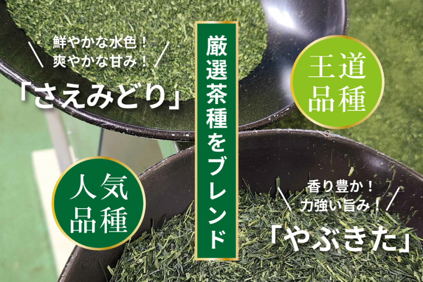 お茶 ティーバッグ 特撰 みやざき煎茶 5袋 セット [谷岩茶舗 宮崎県 日向市 452061735] ティーパック 茶 茶葉 緑茶 新茶 お茶の葉