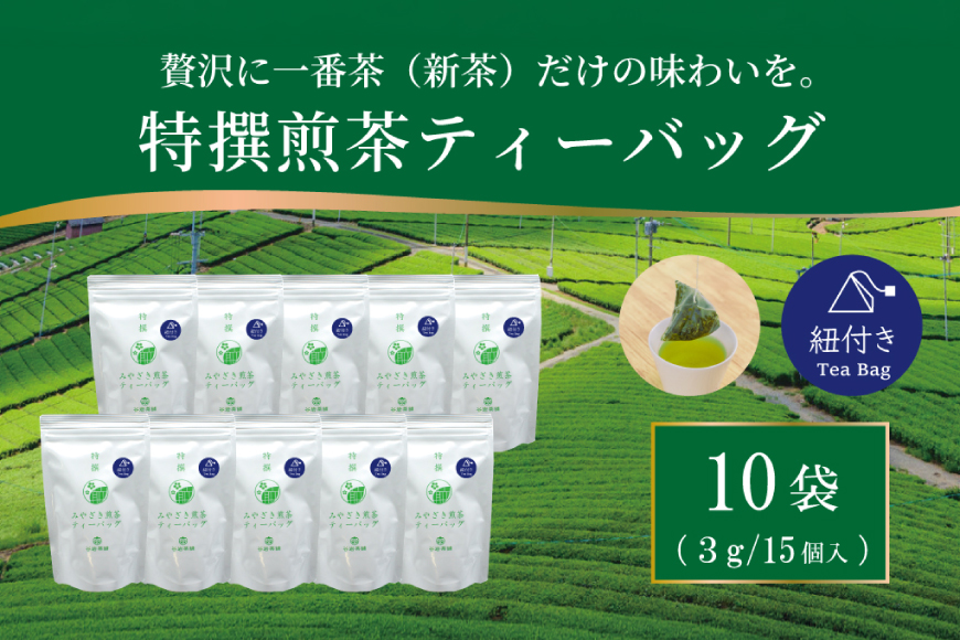 お茶 ティーバッグ 特撰 みやざき煎茶 紐付き 10袋 セット [谷岩茶舗 宮崎県 日向市 452061739] ティーパック 茶 茶葉 緑茶 新茶 お茶の葉