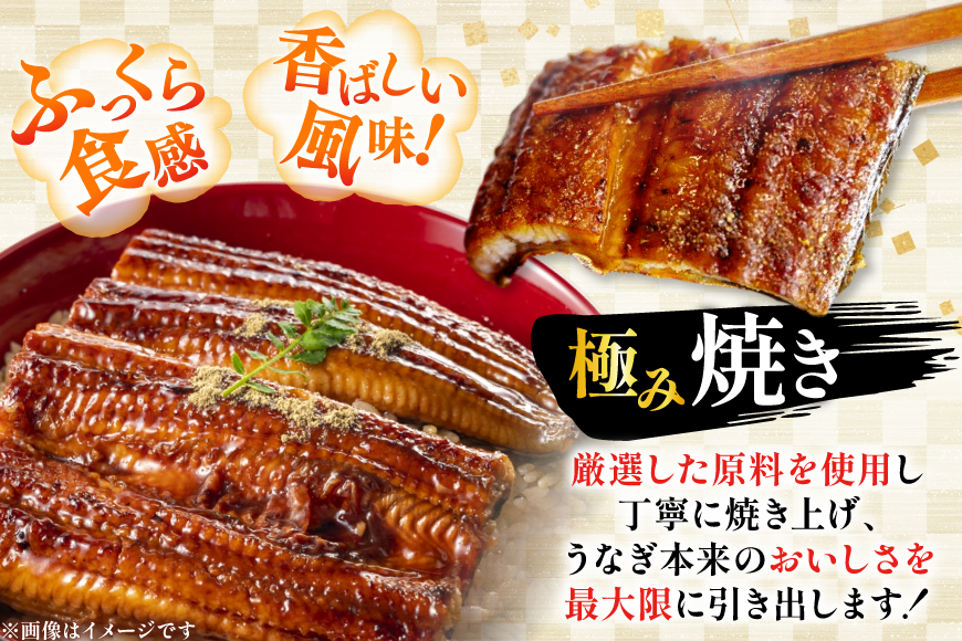 うなぎ 国産 日向極み うなぎ蒲焼 1尾 160g以上 [日向サンパーク 宮崎県 日向市 452061712] ギフト 小分け 真空パック 鰻 ウナギ うなぎの蒲焼 蒲焼 蒲焼き