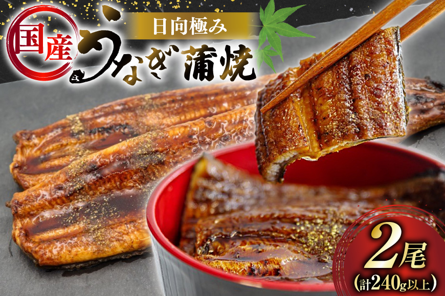うなぎ 国産 日向極み うなぎ蒲焼 2尾 計240g以上 【たれ・山椒付き】 [日向サンパーク 宮崎県 日向市 452061502] ギフト 小分け 真空パック 鰻 ウナギ うなぎの蒲焼 蒲焼 蒲焼き