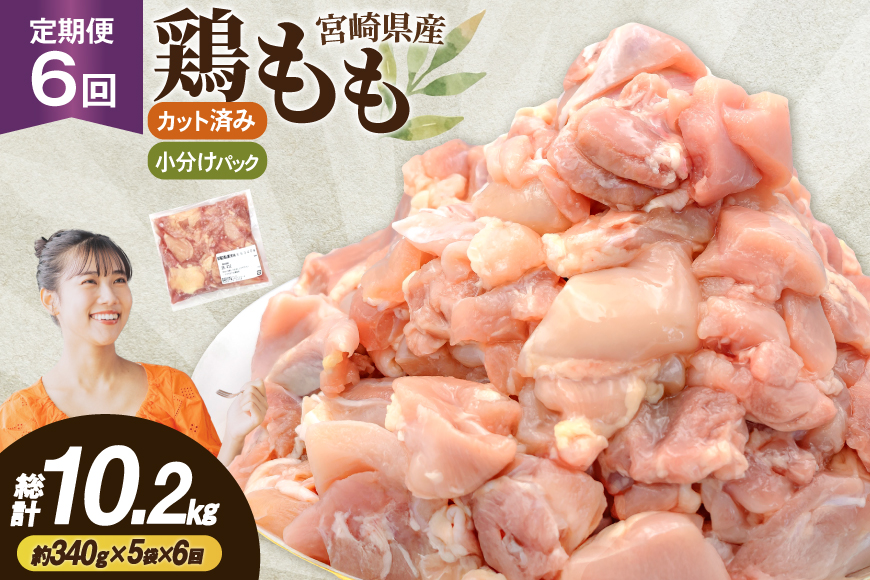 鶏肉 6回 定期便 もも 切身 340g 5袋 1.7kg 計10.2kg [南九フーズ 宮崎県 日向市 452061724] もも肉 冷凍 国産 カット 小分け ふるさと納税 鶏 とり肉 鳥肉 鶏もも 鶏もも肉 モモ 真空包装 個包装 お弁当 時短 カット済 定期 宮崎 宮崎県産 夕飯