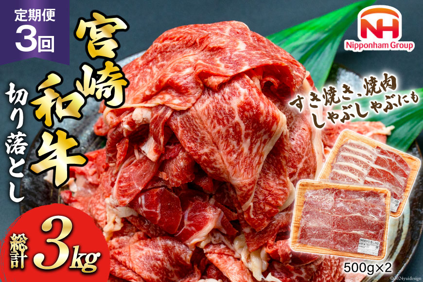 日本ハム 牛肉 3回 定期便 宮崎県 和牛 切り落とし 500g ×2p 計 1kg [日本ハムマーケティング 宮崎県 日向市 452061041] すき焼き しゃぶしゃぶ 赤身 小分け 冷凍 訳ありあ