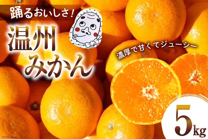 【期間限定発送】踊るおいしさ！甘くてジューシー 温州みかん 5kg [奈須農園 宮崎県 日向市 452061477] 果物 フルーツ 柑橘 みかん ミカン