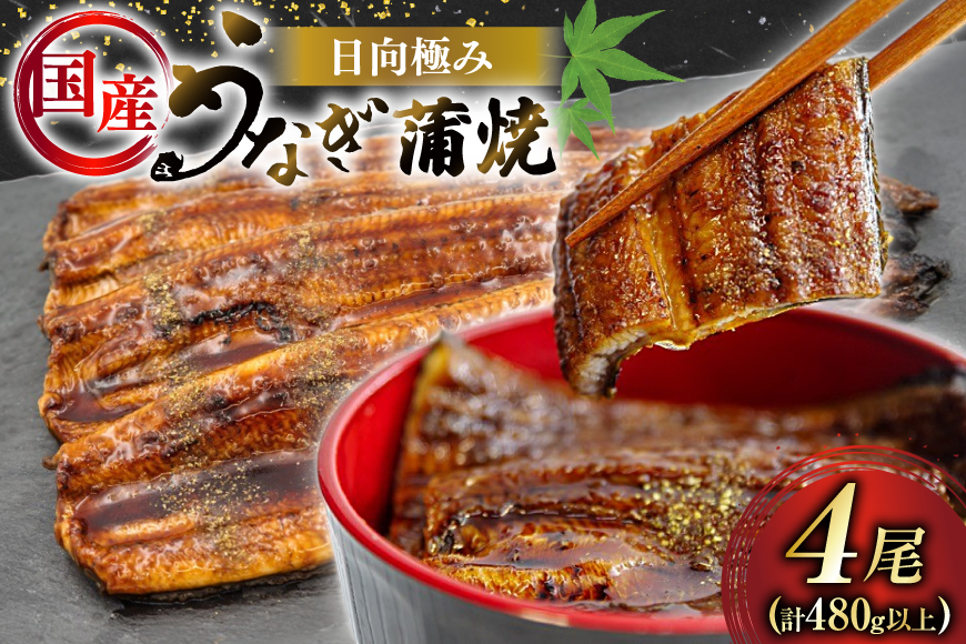 うなぎ 国産 日向極み うなぎ蒲焼 4尾 計480g以上 【たれ・山椒付き】 [日向サンパーク 宮崎県 日向市 452061501] ギフト 小分け 真空パック 鰻 ウナギ うなぎの蒲焼 蒲焼 蒲焼き