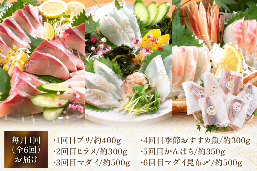 刺身 柵 旬のお刺身 6ケ月 定期便 [請関水産 宮崎県 日向市 452061455] 食べ比べ 冷蔵 詰め合わせ ぶり ヒラメ ひらめ 真鯛 鯛 マダイ タイ カンパチ かんぱち
