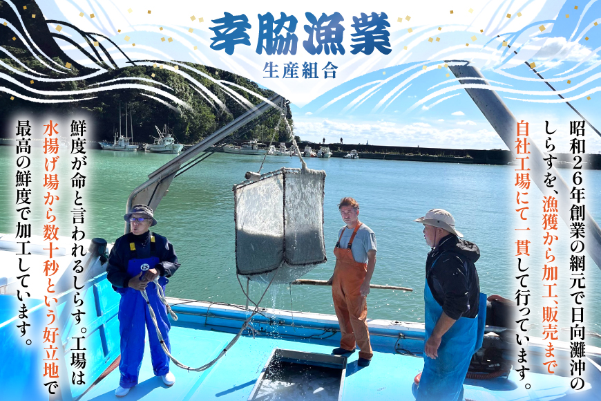 ちりめん 宮崎県産 無添加 ちりめんじゃこ 120g 3p 計360g [幸脇漁業生産組合 宮崎県 日向市 452061353] じゃこ 国産 しらす干し 小分け ジャコ 保存料不使用