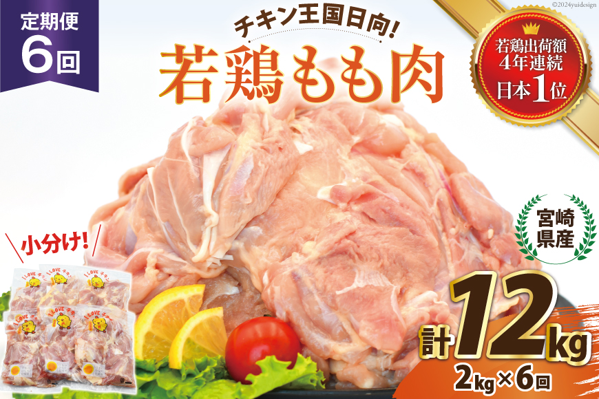 鶏肉 6回 定期便 宮崎県産 若鶏 もも 2kg [エム・ティ・シー 宮崎県 日向市 452061044] 小分け モモ もも肉 モモ肉 冷凍 肉 宮崎