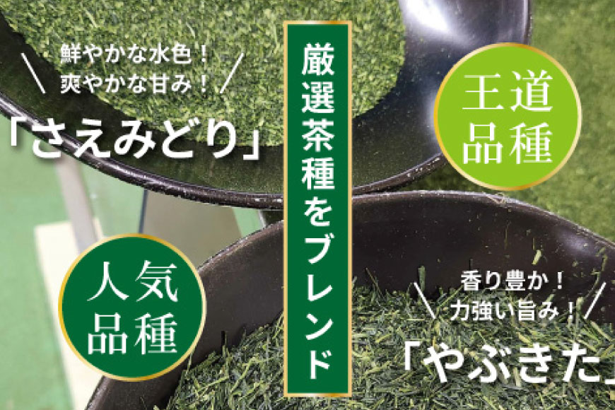 お茶 ティーバッグ 特撰 みやざき煎茶 5袋 セット [谷岩茶舗 宮崎県 日向市 452061643] ティーパック 茶 茶葉 緑茶 新茶 お茶の葉