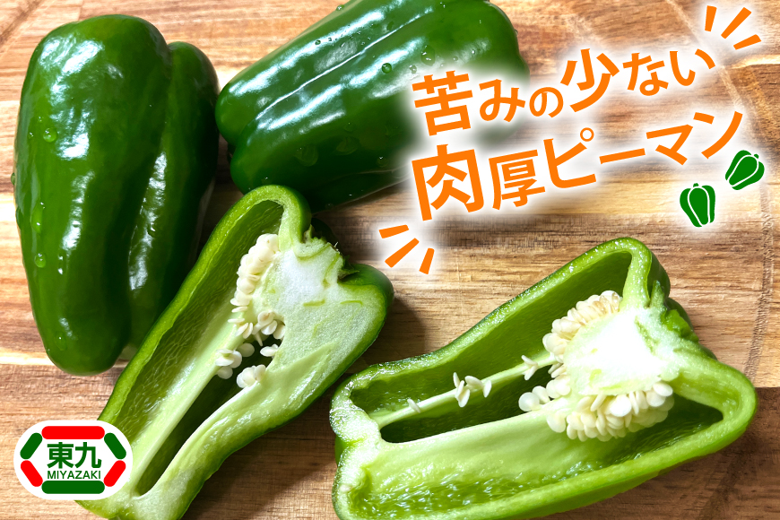 【期間限定発送】 ピーマン 宮崎県産ピーマン 2kg [東九農園 宮崎県 日向市 452061218] 宮崎 パリパリ 野菜 やさい サラダ 新鮮 BBQ