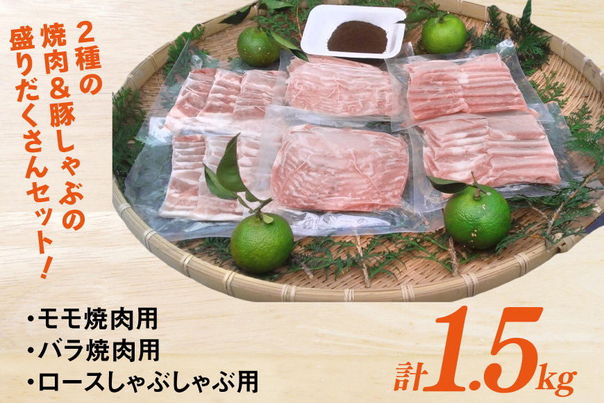 【宮崎ブランドポーク】へべす豚 焼肉 (モモ・バラ) & 豚しゃぶ (ロース) 各500g 計1.5kg [JAみやざき 日向肉豚部会 宮崎県 日向市 452061312] 肉 豚肉 モモ バラ ロース BBQ しゃぶしゃぶ