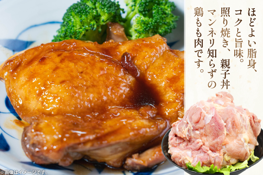 鶏肉 もも肉 未カット 1kg 2パック 計 2kg 宮崎県産 冷凍 [アイフーズ 宮崎県 日向市 452061702] とり肉 鳥肉 モモ肉 もも肉 小分け 若鶏 宮崎