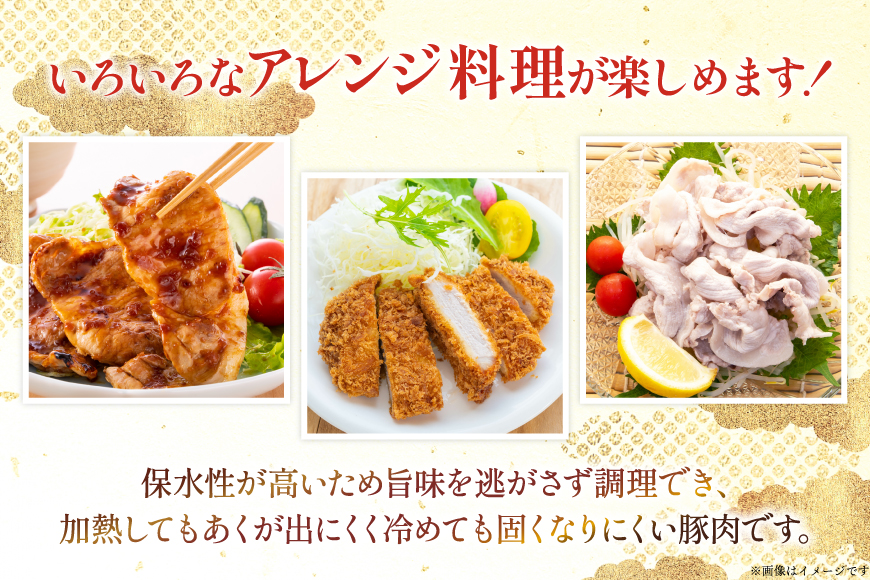 豚肉 宮崎県産豚肉 3.2kg 詰め合わせ セット [TRINITY 宮崎県 日向市 452061328] 小分け 豚 肉 宮崎 ロース スライス 豚バラ とんかつ 切り落とし ミンチ 豚ミンチ ひき肉 真空パック