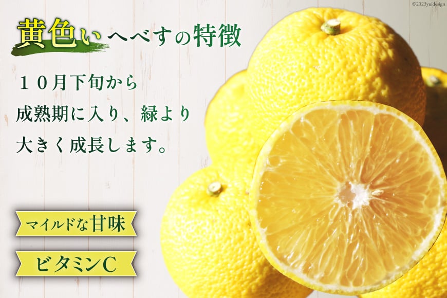 【期間限定発送】 おひさまへべす ひなたGAP認定 ふぞろい 2kg [へべすの悠美園 宮崎県 日向市 452060723] へべす ヘベス 宮崎 果物 フルーツ くだもの 柑橘 ポン酢 調味料 果汁