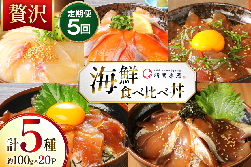 海鮮丼 海鮮漬け丼 5か月 定期便 [請関水産 宮崎県 日向市 452061452] 海鮮丼の具 海鮮 海鮮丼セット 食べ比べ 丼 冷凍 ギフト 漬け丼 ブリ 真鯛 マダイ カンパチ かんぱち まぐろ マグロ サーモン