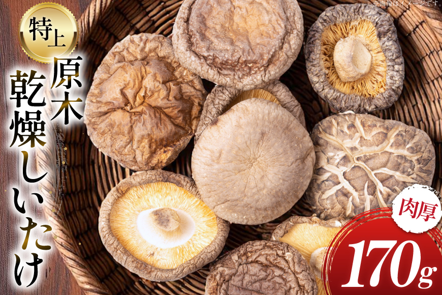 国産 特上 原木 乾燥 しいたけ 肉厚どんこ 170g [浜辺しいたけ 宮崎県 日向市 452061577] 椎茸 どんこ 乾燥しいたけ 乾燥椎茸