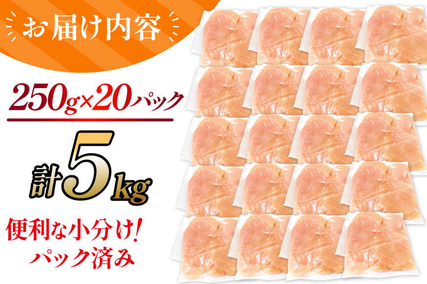 鶏肉 ささみ 宮崎県産 若鶏ささみ 5kg セット [TRINITY 宮崎県 日向市 452061347] ササミ 鶏ささみ 鶏ササミ 小分け 冷凍 真空パック 個包装 宮崎 若鶏 国産