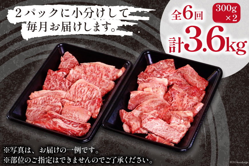 牛肉 訳あり 6回 定期便 宮崎和牛 切り落とし 焼肉 600g ×6回 総計 3.6kg [道の駅「日向」物産館 宮崎県 日向市 452061150] 焼き肉 切落し きりおとし 黒毛和牛 宮崎県産 訳アリ