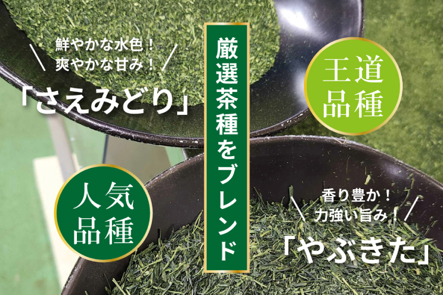 お茶 ティーバッグ 特撰 みやざき煎茶 紐付き 3袋 セット [谷岩茶舗 宮崎県 日向市 452061737] ティーパック 茶 茶葉 緑茶 新茶 お茶の葉