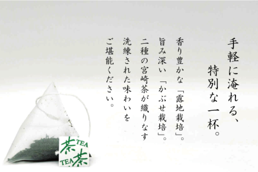 お茶 プレミアム ティーバッグ 露ぶせ 3g 12個 [谷岩茶舗 宮崎県 日向市 452061617] ティーパック 茶 緑茶 日本茶