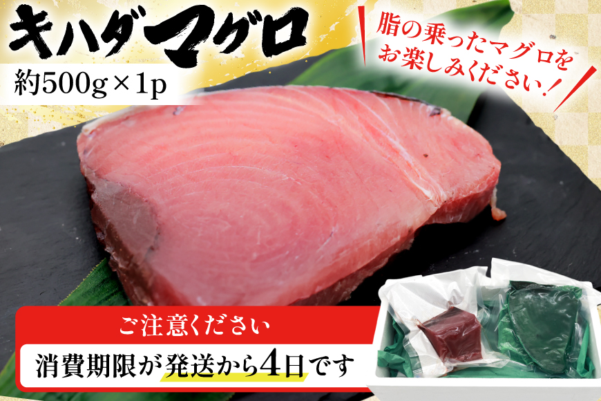 【期間限定発送】 マグロ 刺身 宮崎県産 天然 キハダマグロ 約500g [ミツイ水産 宮崎県 日向市 452061258] まぐろ 鮪 ブロック