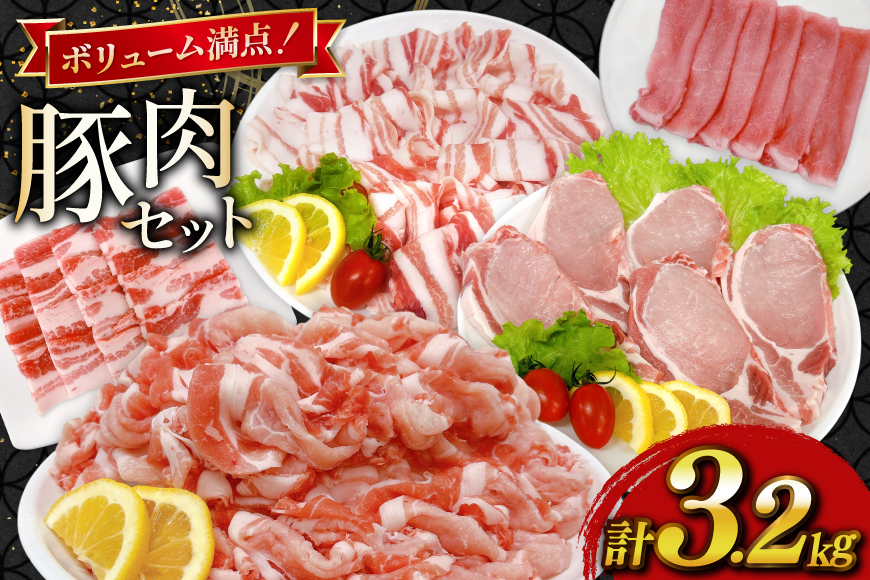 豚肉 宮崎県産豚肉 3.2kg 詰め合わせ セット [TRINITY 宮崎県 日向市 452061328] 小分け 豚 肉 宮崎 ロース スライス 豚バラ とんかつ 切り落とし ミンチ 豚ミンチ ひき肉 真空パック