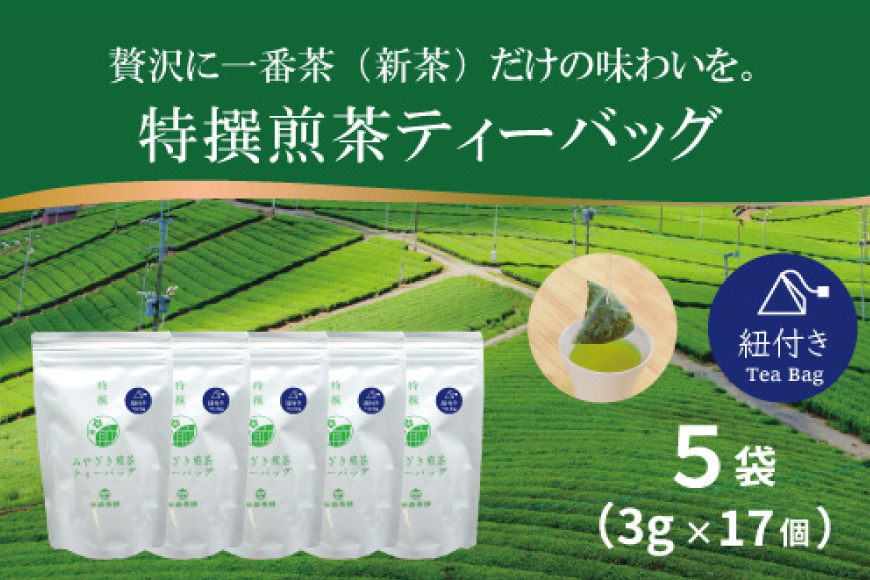 お茶 ティーバッグ 特撰 みやざき煎茶 紐付き 5袋 セット [谷岩茶舗 宮崎県 日向市 452061627] ティーパック 茶 茶葉 緑茶 新茶 お茶の葉