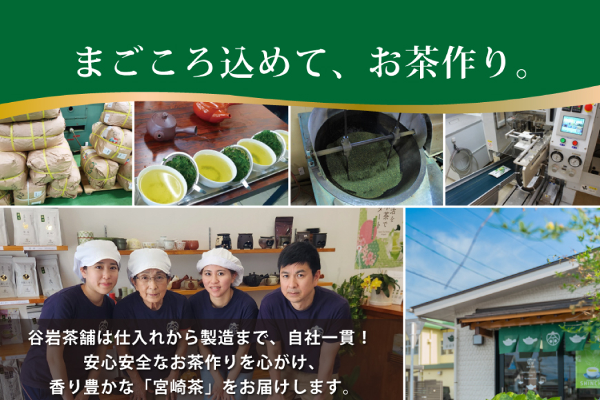 お茶 茶葉 プラチナ賞受賞茶 3本セット 晟 70g×1本 深緑 80g×1本 朝霧しずく 70g×1本 [谷岩茶舗 宮崎県 日向市 452061726] セット 煎茶 釜炒り茶 緑茶 釜王 新緑 朝露しずく 晟