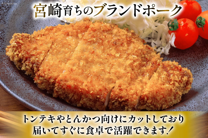 豚肉 小分け 宮崎ブランドポーク ロース トンテキ とんかつ カット 100g ×5枚 500g [ウィズ・クリエイティブ 宮崎県 日向市 452060770] 冷凍 豚 個包装 トンカツ 真空 宮崎