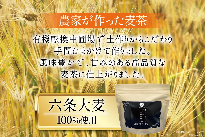 お茶 六条麦茶 10g 20包 [日向百生会 宮崎県 日向市 452061129] 麦茶 むぎ茶 水出し 煮出し ティーバッグ 国産 ノンカフェイン