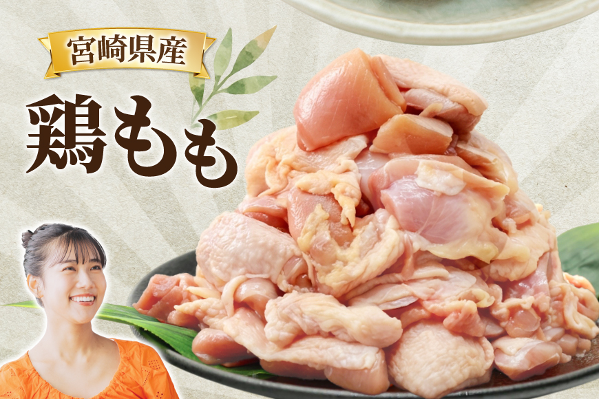 鶏肉 3回 定期便 もも 切身 340g 5袋 1.7kg 計5.1kg [南九フーズ 宮崎県 日向市 452061725] もも肉 冷凍 国産 カット 小分け ふるさと納税 鶏 とり肉 鳥肉 鶏もも 鶏もも肉 モモ 真空包装 個包装 お弁当 時短 カット済 定期 宮崎 宮崎県産 夕飯