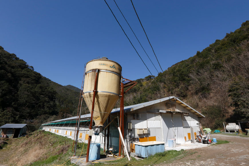 鶏肉 小分け 宮崎県産 ブランド鶏 夢創鶏 もも むね 切身 セット 200g 5p 2種 計2kg [英楽 宮崎県 日向市 452061148] むね肉 もも肉 ムネ モモ 鶏