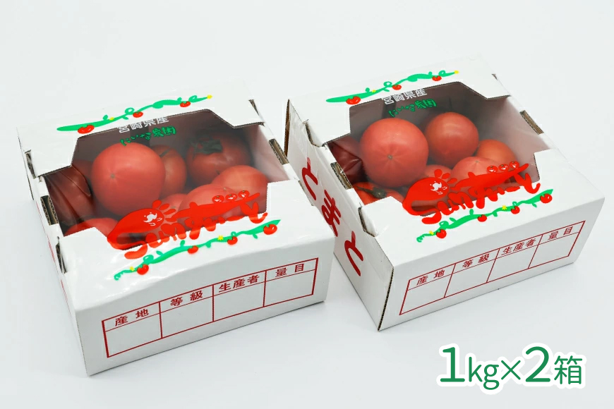 【期間限定発送】 訳あり トマト SUNすいーと 1kg×2箱 [にいな農園 宮崎県 日向市 452060917] 野菜 フルーツトマト 高糖度 甘い 不揃い 家庭用