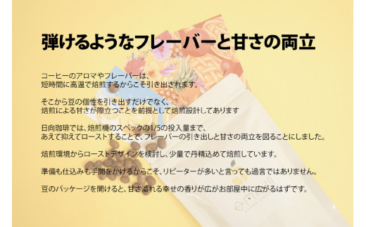 定期便 6回 【日本一の焙煎士厳選】珈琲 豆 100g×3種 スペシャルティコーヒー 飲み比べ [日向珈琲 宮崎県 日向市 452060430] コーヒー 焙煎 自家焙煎  詰め合わせ