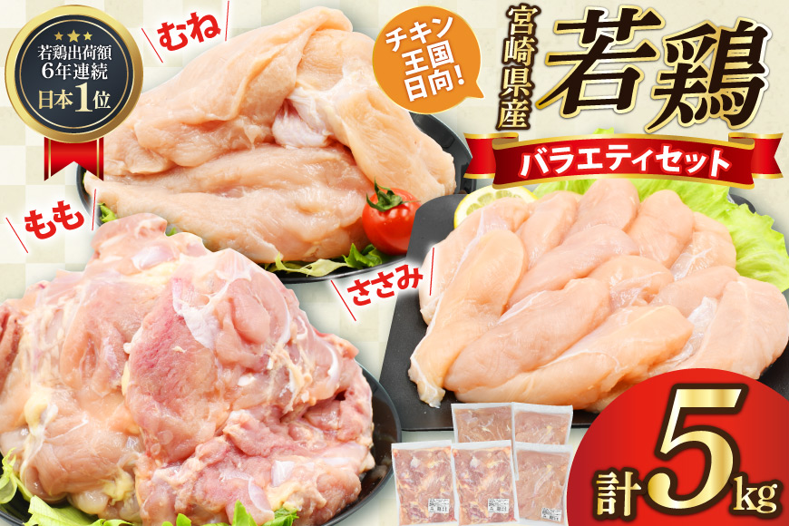 肉 鶏肉 鶏肉バラエティセット もも2kg むね2kg ささみ1kg 計5kg [アイフーズ 宮崎県 日向市 452060753] 冷凍 小分け モモ肉 もも肉 むね肉 ムネ肉 胸肉 ささみ ササミ