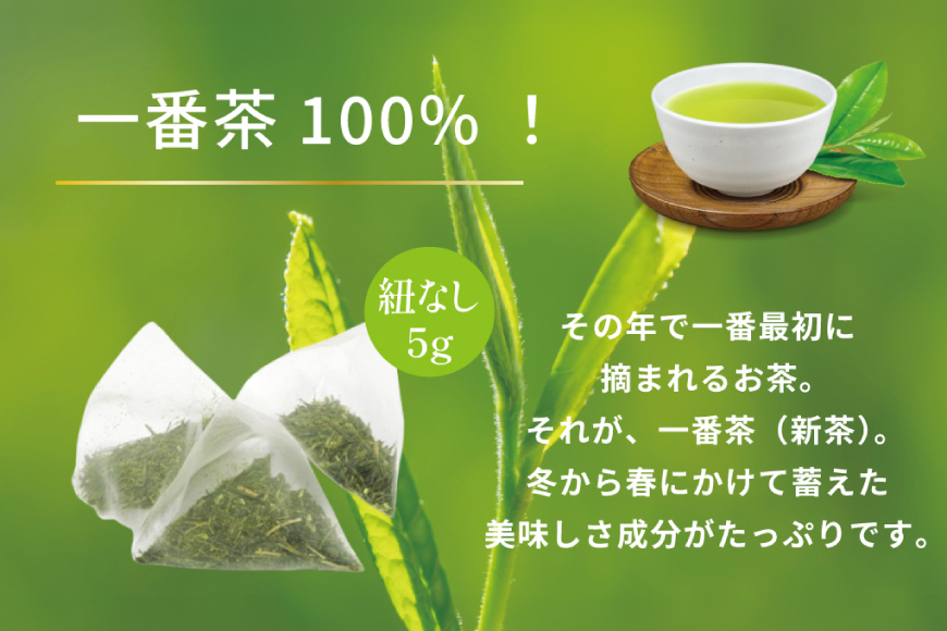 お茶 ティーバッグ 特撰 みやざき煎茶 5袋 セット [谷岩茶舗 宮崎県 日向市 452061735] ティーパック 茶 茶葉 緑茶 新茶 お茶の葉